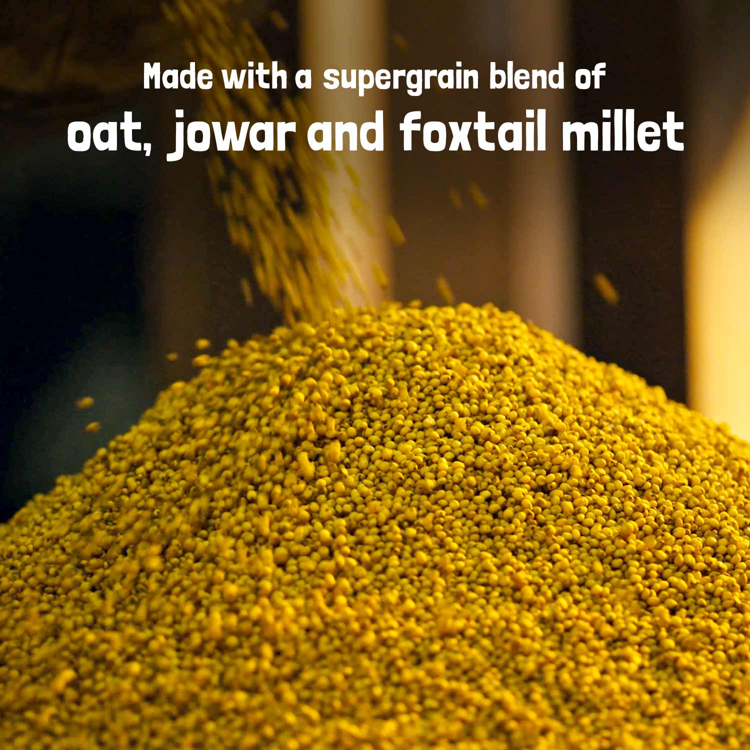 Blueberry Millet Pancake Mix - Image 8