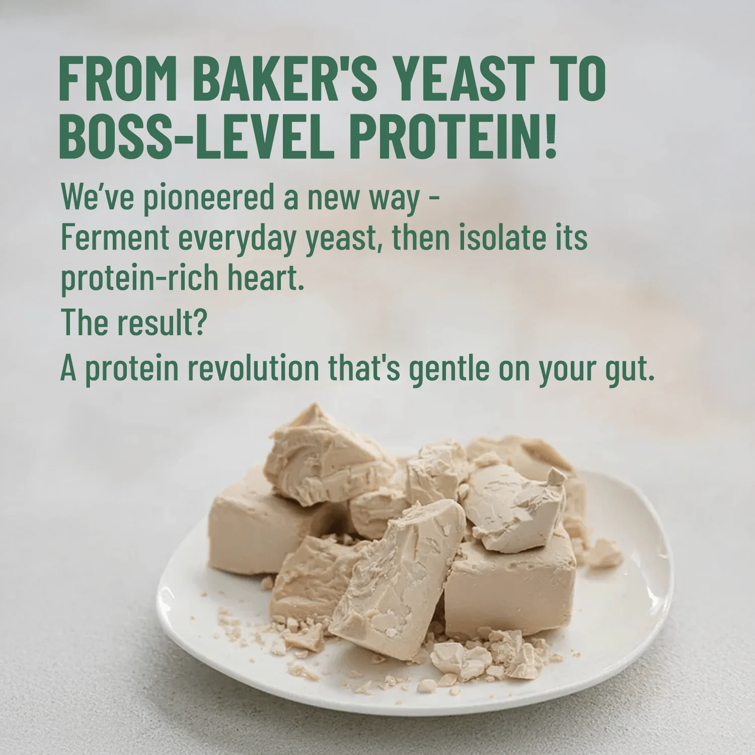 Mille Plant Protein | 25g/Scoop | Coffee Hazelnut | Fermented Yeast Protein | No Bloat I Vegan | 500g - Image 6
