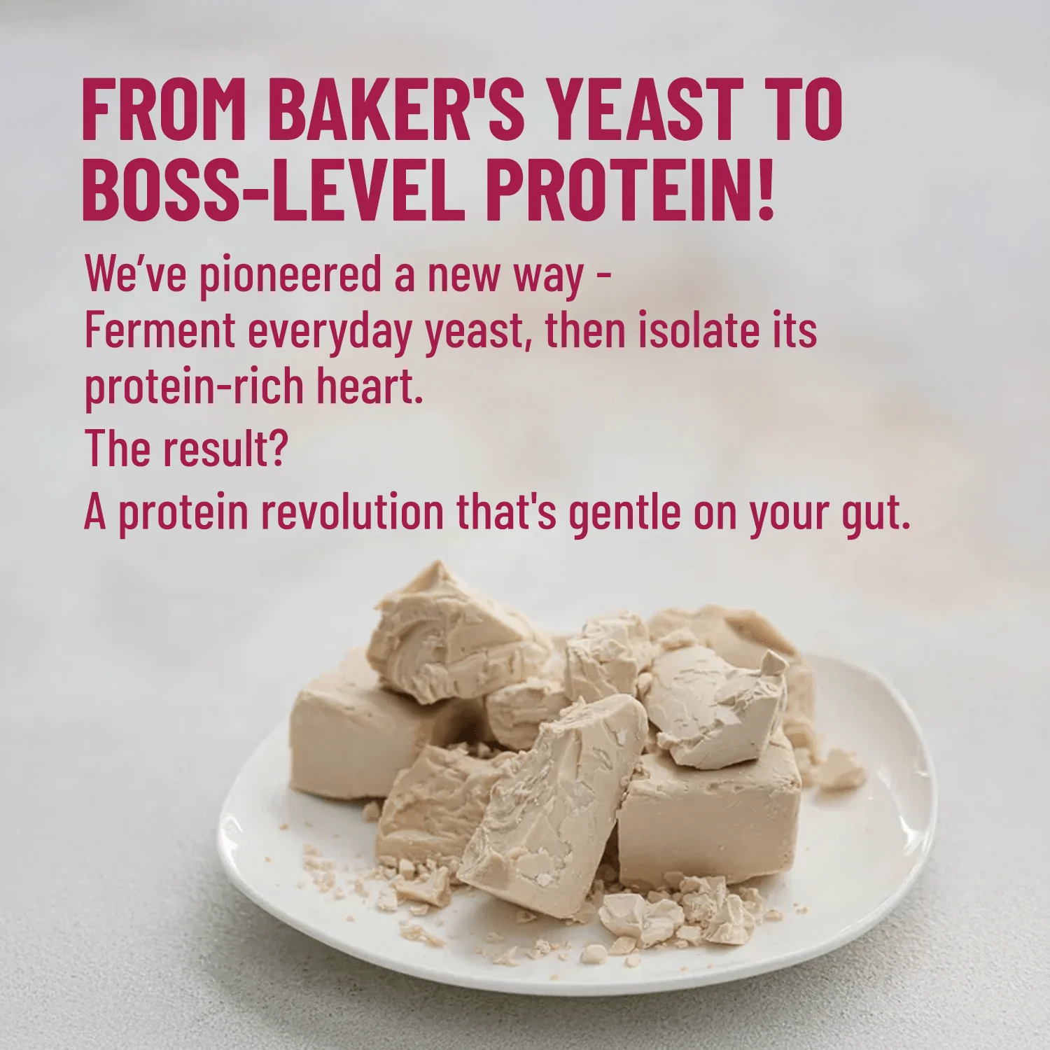 Mille Plant Protein | 31g/Scoop | Unflavoured | Fermented Yeast Protein | No Bloat I Vegan | 500g - Image 7